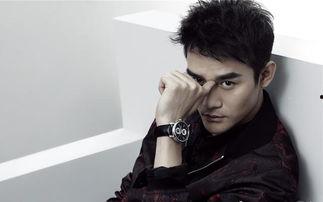 王凯娱乐圈爆料,揭秘明星幕后真相